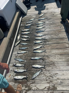 Reel, relax, repeat in Morehead City!
